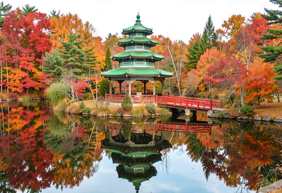 China, japan, indonesia, south korea