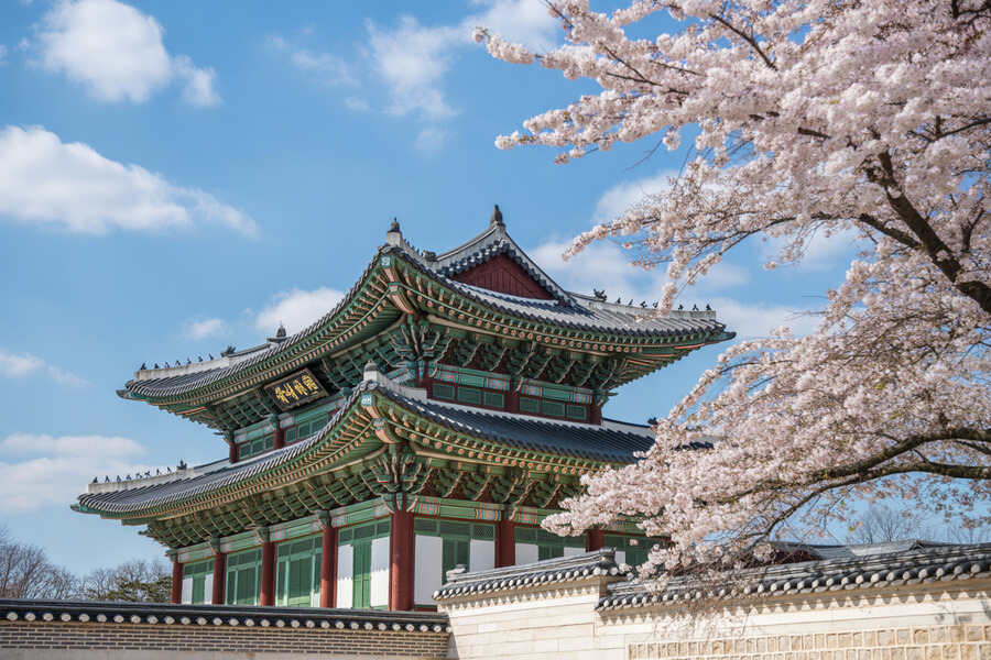 South Korea Set to Resume Incheon–Jeju Flights in April 2026, Aiming to Transform Regional Travel, S...