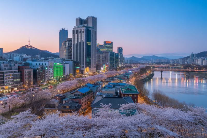 South Korea’s New Online Shopping Milestone: Implications for Tourists and Travel Trends, Get the De...