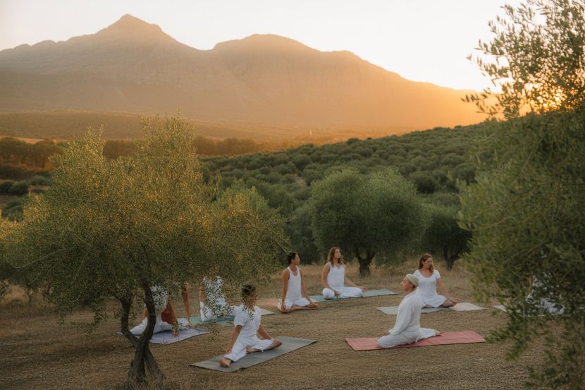 Spain sees surge in ayahuasca retreats: wellness tourism grows amid legal ambiguity and spiritual exploration