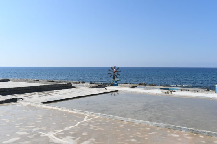 Together for Sustainable Tourism in the Mediterranean - News