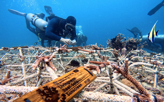 TRAppe takes commission-free travel platform global | TTG Asia