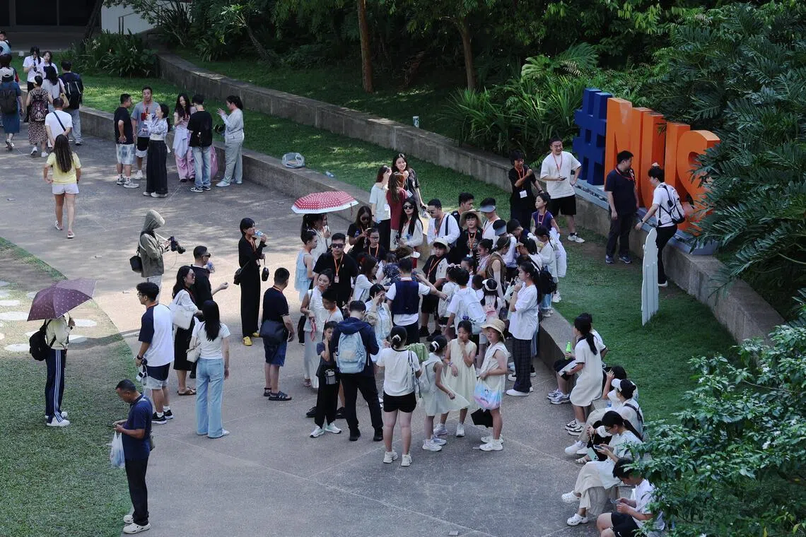 Subscribe Placeholder