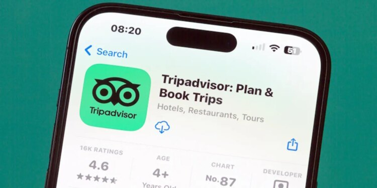 Tripadvisor investor calls for management overhaul