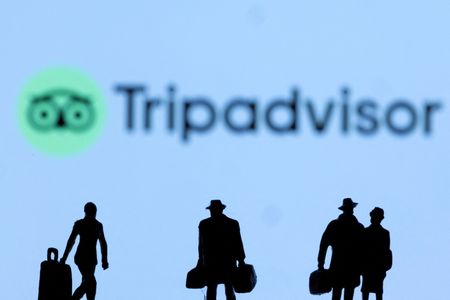 Travel Giant TripAdvisor Faces Investor Push for Major Changes