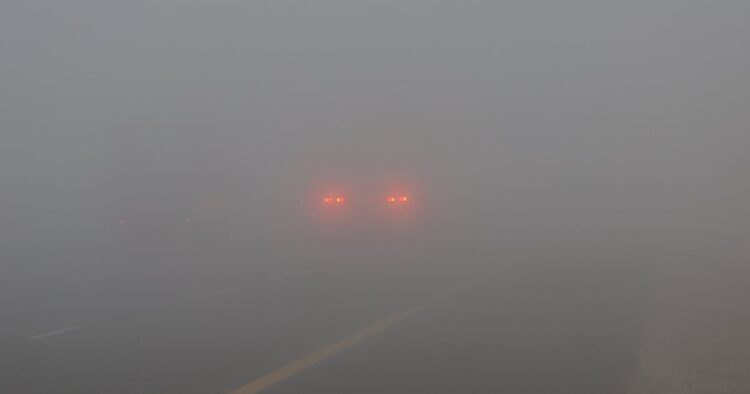 UAE Schools Implement Fog Safety Measures, Suspend Buses Amid Low Visibility