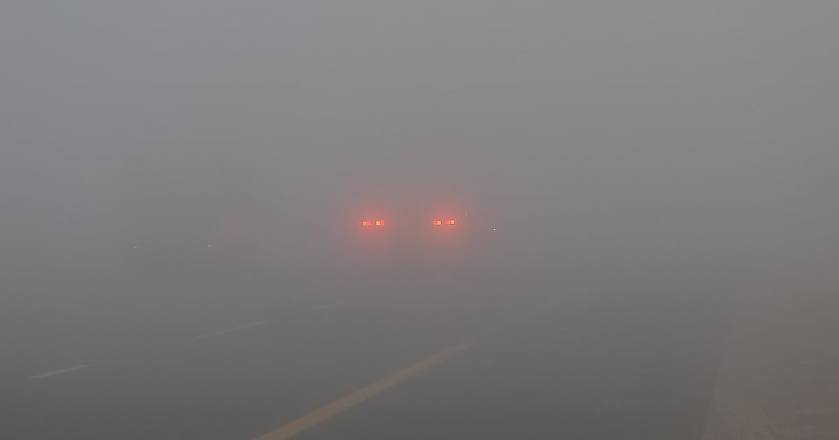 UAE Schools Implement Fog Safety Measures, Suspend Buses Amid Low Visibility