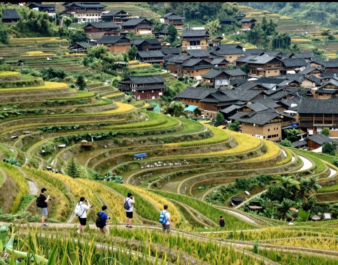 Vietnam airlines, vietjet, bamboo airways, qatar airways, and emirates are all racing to add new flights to vietnam’s lo lo chai village,