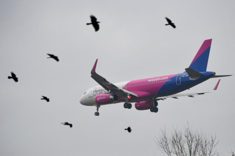 Wizz Air systems to temporarily shut down midweek due to scheduled maintenance