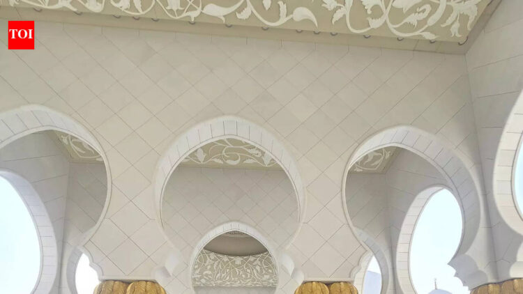 24 tourists return home from Dubai | Bhubaneswar News