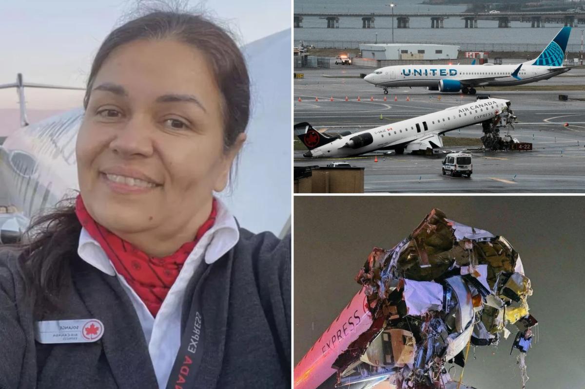 'Miracle' Air Canada flight attendant posted eerie social-media premonition three years before LaGua...