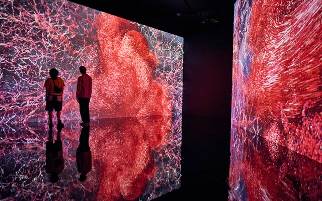 ArtScience Museum exhibition traces anatomy across cultures and time | TTG Asia