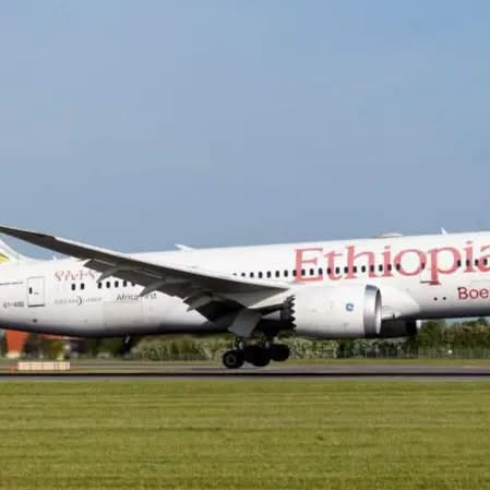 Borkena - Ethiopian Airlines Estimates $137 Million Weekly...