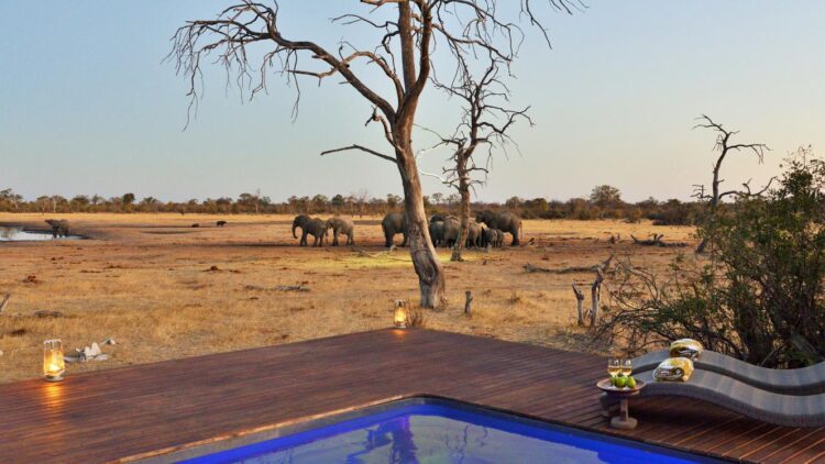 Botswana lodges join Dream Hotel & Resorts