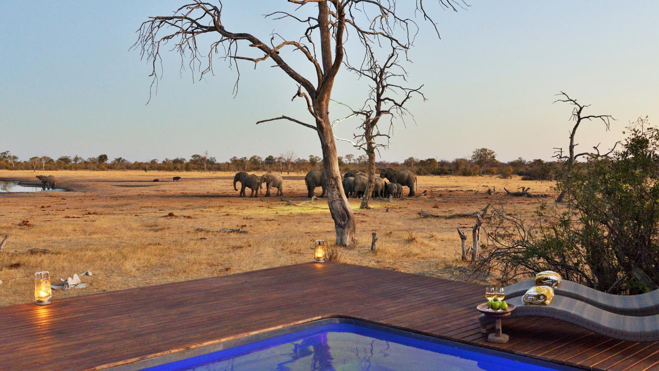 Botswana lodges join Dream Hotel & Resorts
