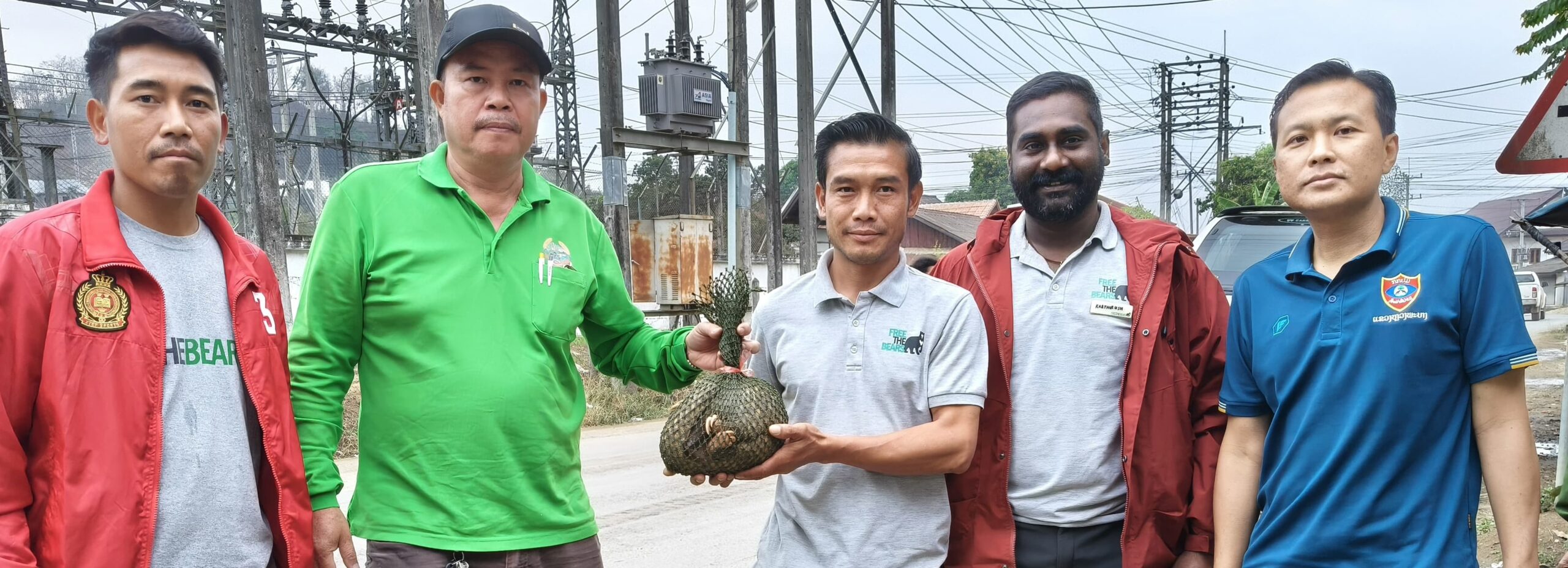 Sunda pangolin rescued from illegal trafficking on Laos minivan tour