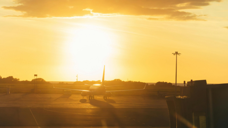 Letter to the Middle East: The pipeline we took for granted - WiT