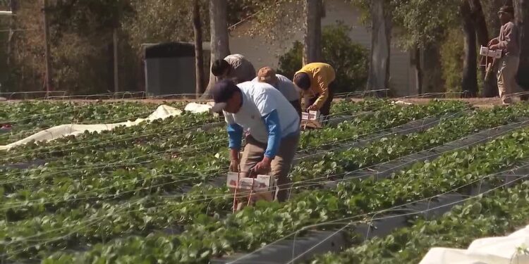 Brooke Rollins cites H-2A changes, visa program adjustments and tariff results during New Orleans vi...