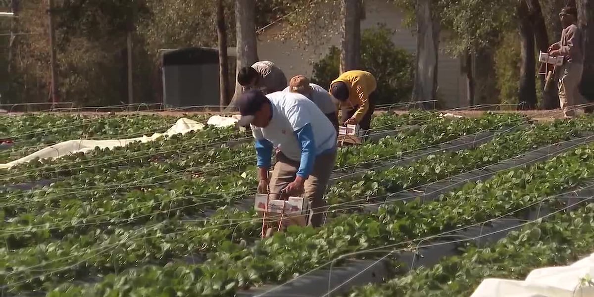 Brooke Rollins cites H-2A changes, visa program adjustments and tariff results during New Orleans vi...