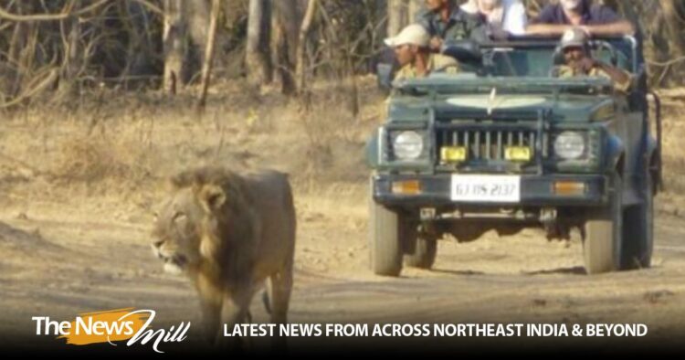 Gujarat ranks third in foreign tourist visits in 2024