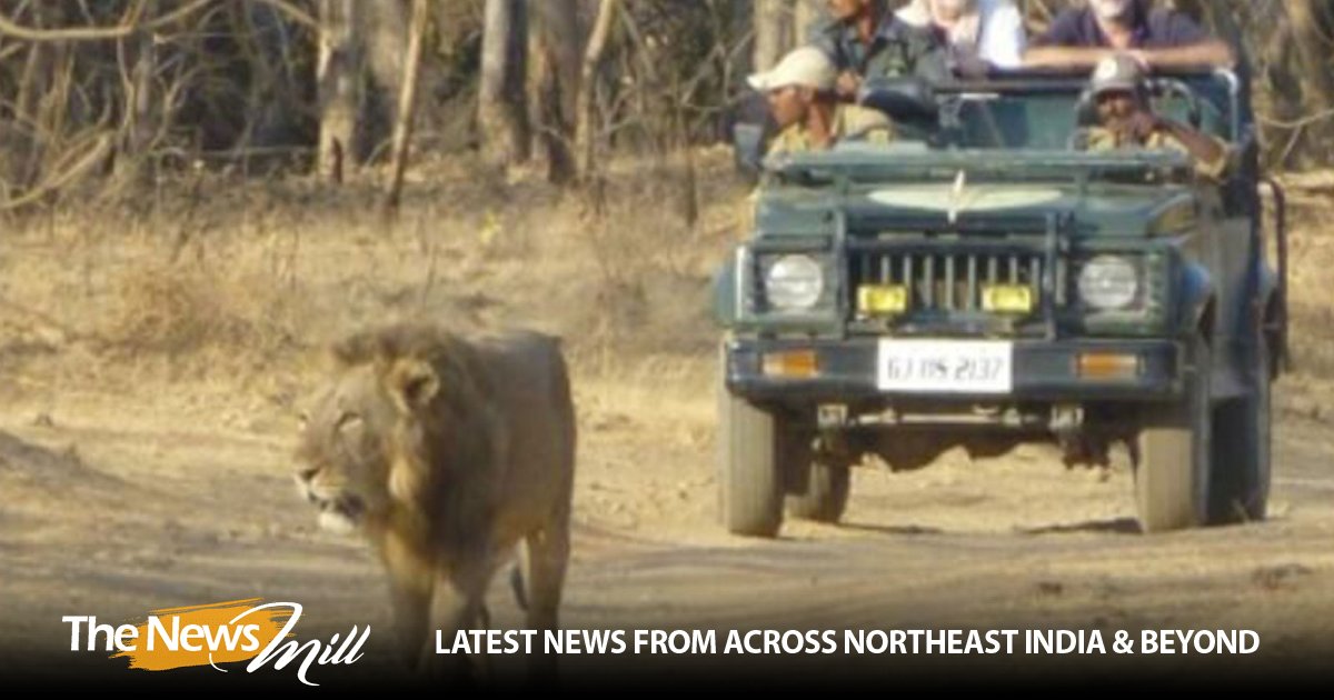 Gujarat ranks third in foreign tourist visits in 2024