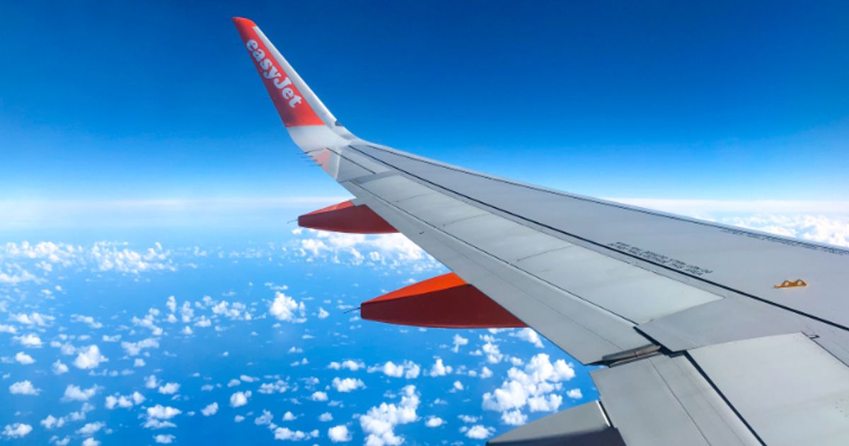 Airlines IAG and easyJet rebound as oil prices soften slightly