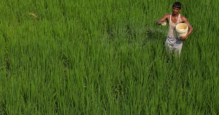 Food security concerns mount as Iran war hurts fertilizer trade