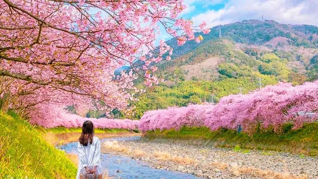 Japan, S Korea preferred for spring travel