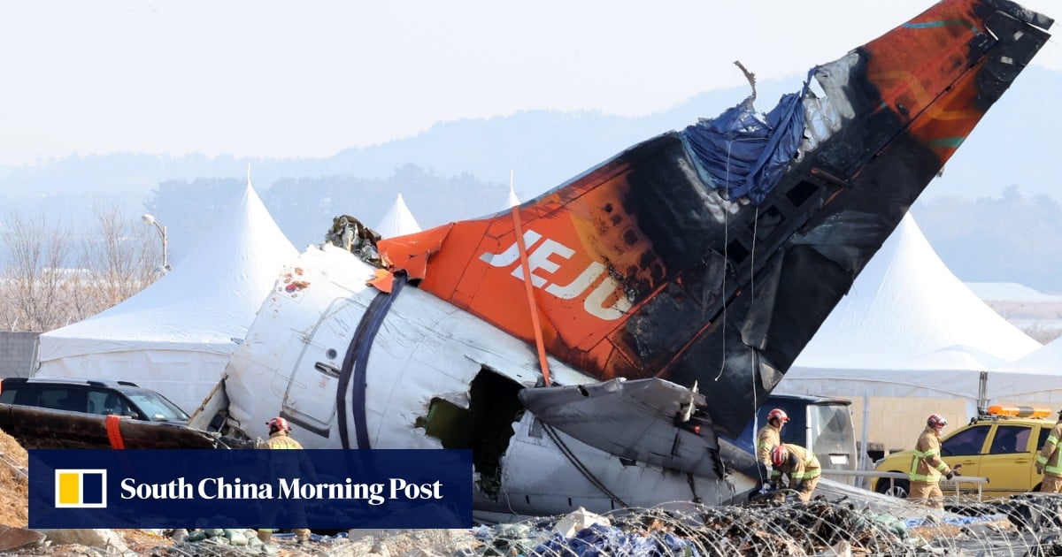 Jeju Air crash: South Korean auditor says ministry prioritised cost over safety