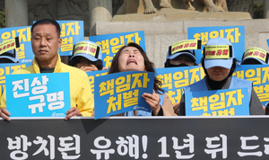 Discovery of remains rekindles scrutiny of Jeju Air crash recovery