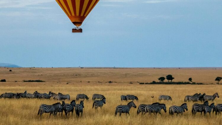 Maasai Mara camp numbers surge