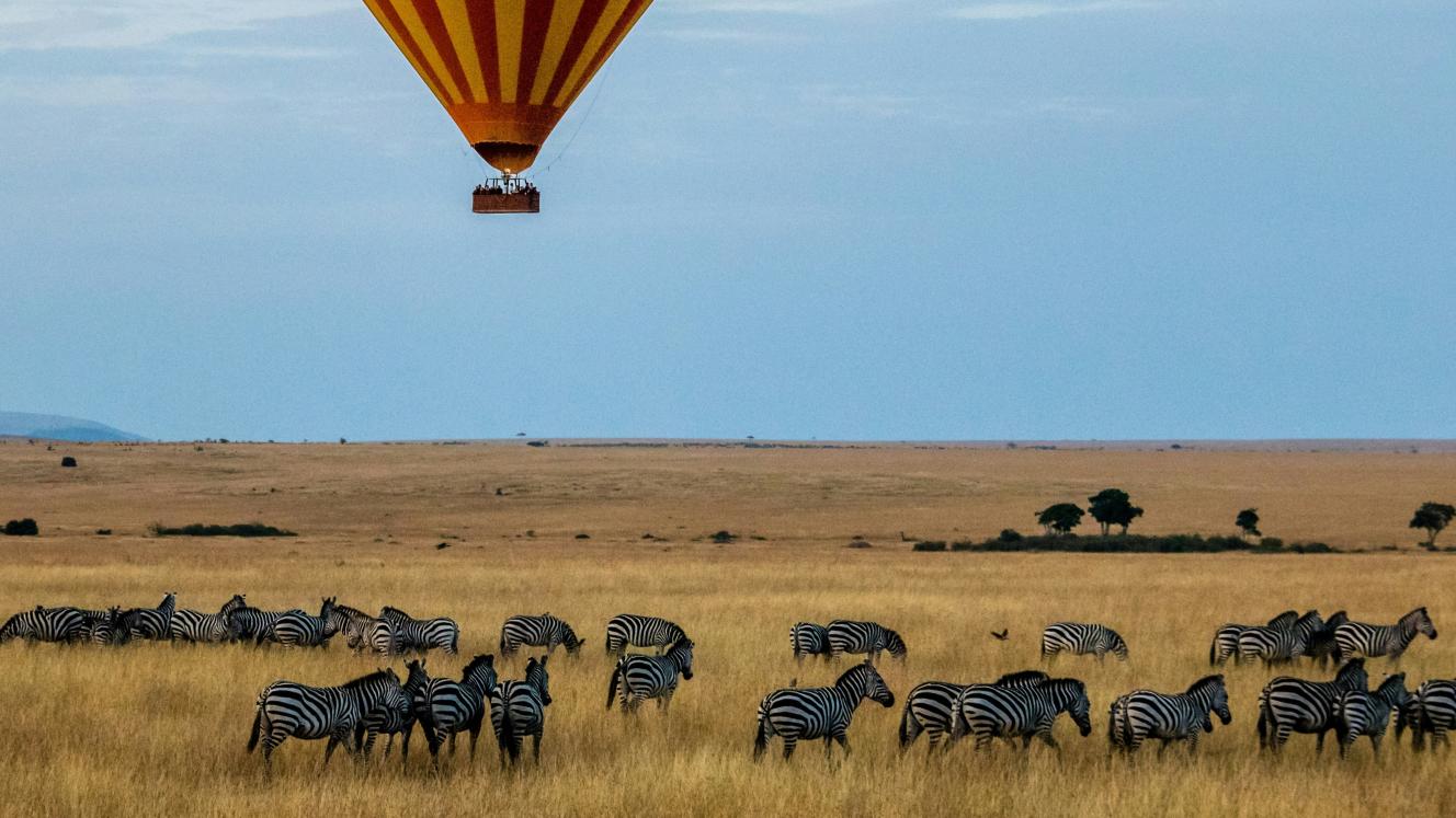 Maasai Mara camp numbers surge