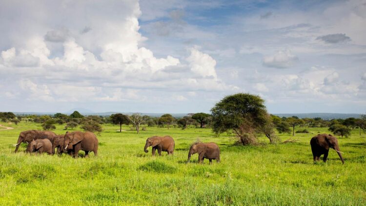 Mpumalanga invites bids for concessions