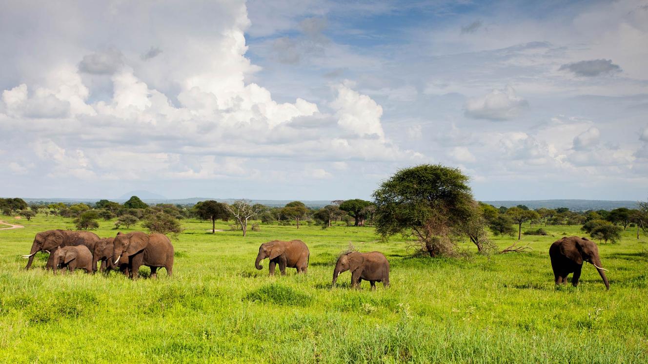 Mpumalanga invites bids for concessions