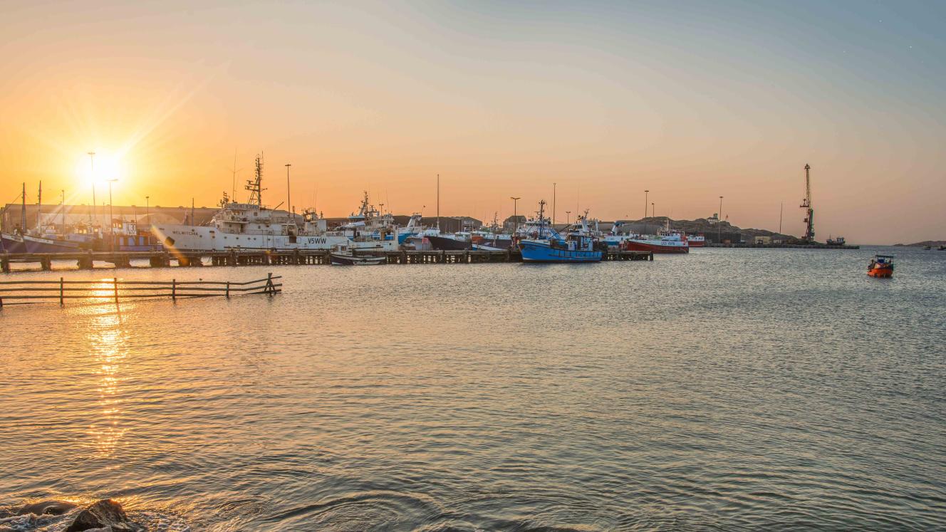 Capitalising on Namibia’s cruising market