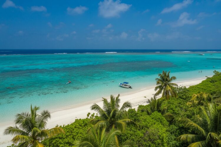 New orleans joins newark, phoenix, cincinnati, west palm beach, san antonio, and more us cities in witnessing a significant growth in tourist arrivals in the first month of 2026: everything you need to know