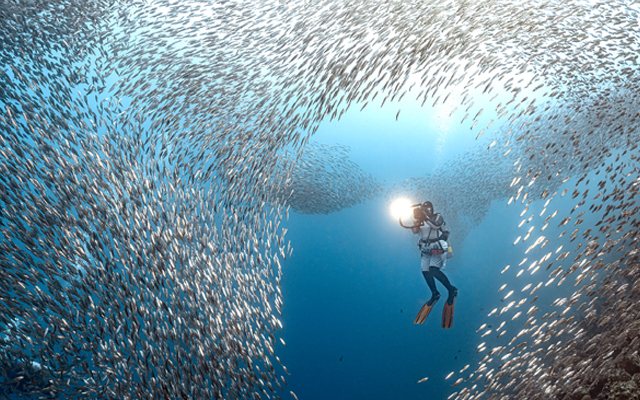 Philippines lifts retirement ambitions as foreign retiree numbers climb | TTG Asia