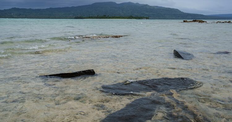 The sea is higher than we think: Millions more at risk of rising sea levels, researchers say