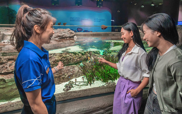 Singapore Oceanarium highlights native seahorses in new experience | TTG Asia