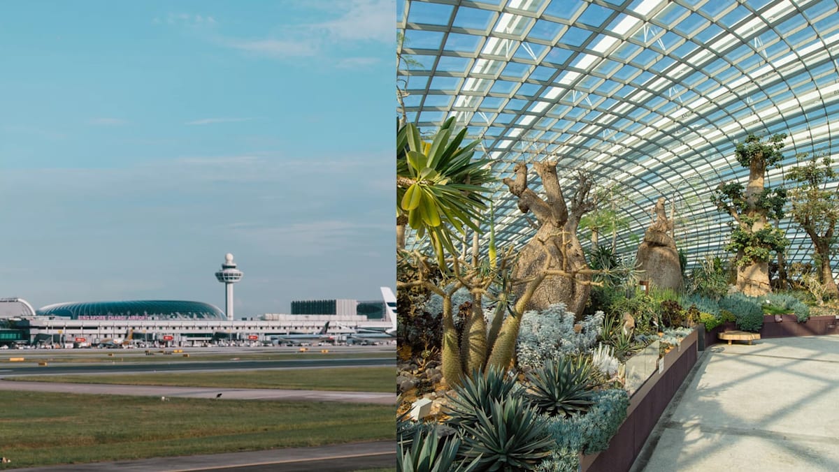 Tourist Ranks Singapore Attractions According To 6 Tiers, And Only One Local Attraction Made It To T...