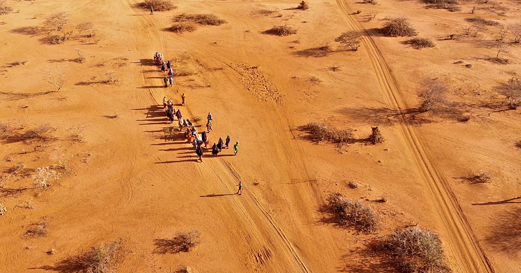Somalia's drought leaves 6.5 million on brink of hunger crisis, says ICRC