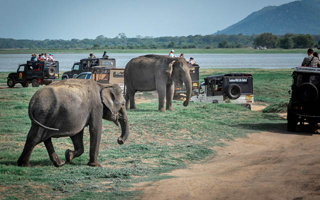 Sri Lanka Tourism Alliance rolls out year-round travel campaign | TTG Asia