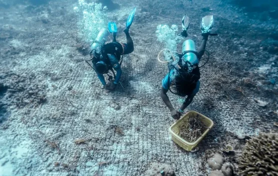 Sustainable Tourism is the Foundation of Indonesia's Global Competitiveness