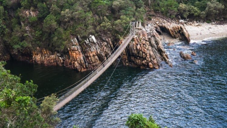 Tsitsikamma bridges under construction | Southern & East African Tourism Update