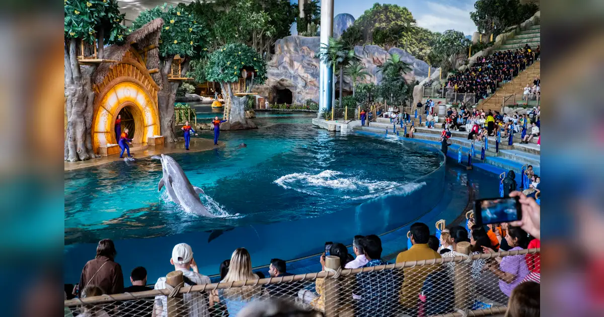 Abu Dhabi tourism surges to record high as Indian visitor numbers jump