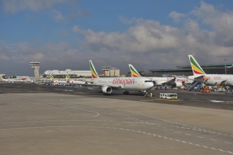 African Airlines Earn $1.3 Per Passenger. That Makes Distribution Costs an Existential Question.