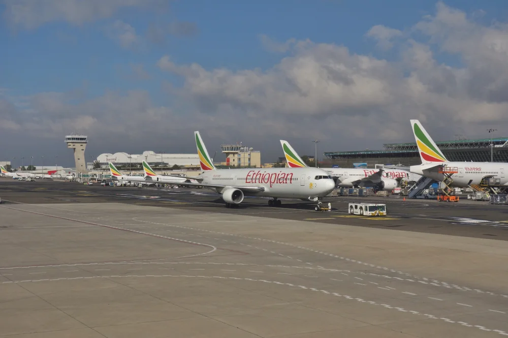 African Airlines Earn $1.3 Per Passenger. That Makes Distribution Costs an Existential Question.