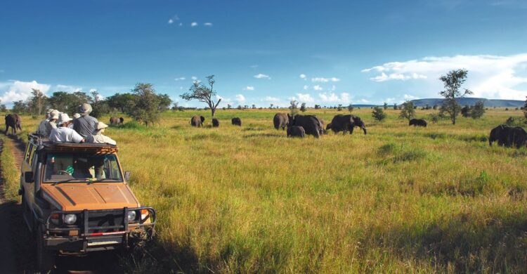 Africa's untapped $322bn tourism potential hinges on tackling key barriers