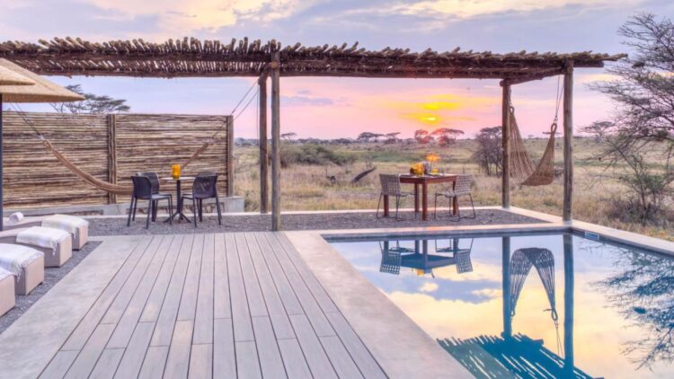 Asilia data shows longer stays, richer itineraries