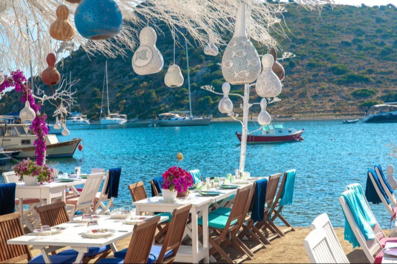 Seaside restaurant adorned with bougainvillea and hanging lanterns on the beach in Bodrum, Mugla, Türkiye. (Adobe Stock Photo)